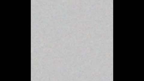 VIOLETA AND MAXX online show from 3, 11, 2025