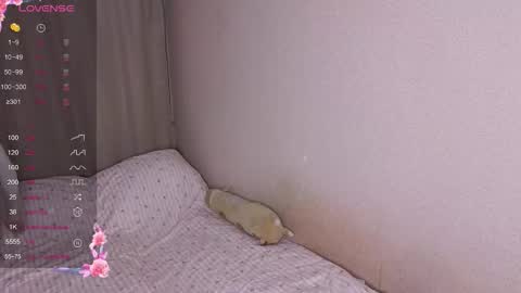 Snapshot of vitterrick chatting on 25, 11, 2025 vitterrick online show from 25, 11, 2025