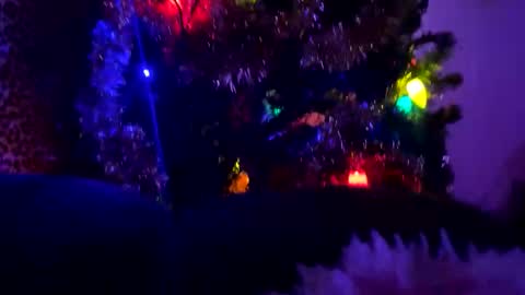 Vivi online show from 11, 1, 2026