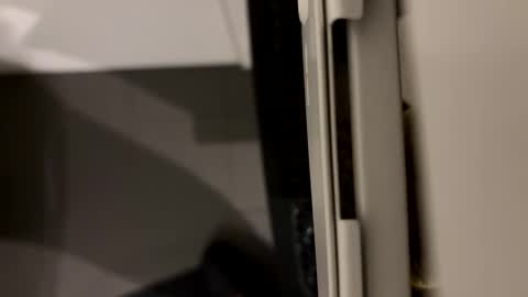 John online show from 3, 1, 2025