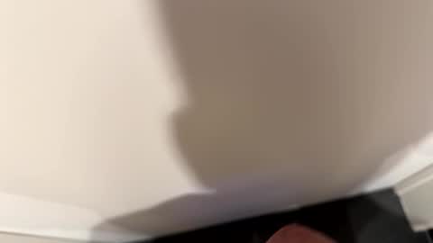 John online show from 13, 3, 2026