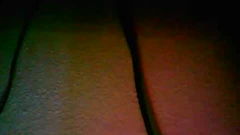 vondavigano online show from 16, 11, 2025