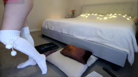 Sunshiny online show from 16, 2, 2025