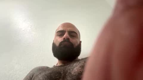 waappp online show from 14, 11, 2025