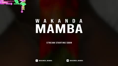 Snapshot of wakanda_mamba chatting on 17, 11, 2025 Wakanda Mamba online show from 17, 11, 2025