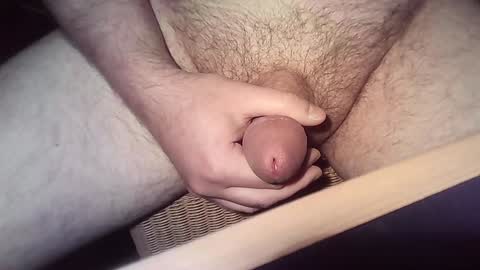 Snapshot of wanky83 chatting on 24, 12, 2024 wanky83 online show from 24, 12, 2024