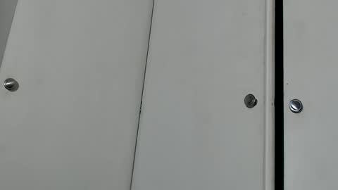 wants online show from 14, 9, 2025