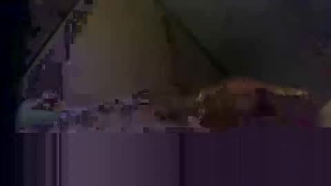 waynedmiller60895321 online show from 2, 4, 2026