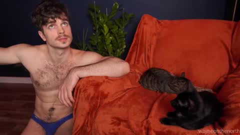 waynenorth online show from 22, 11, 2025