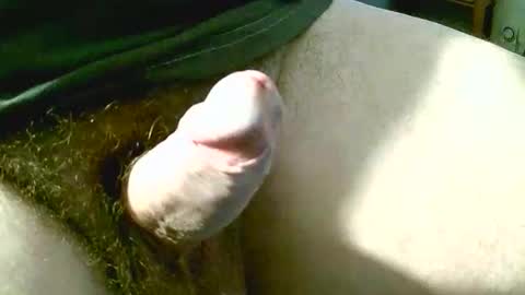 welshstuds online show from 11, 9, 2025