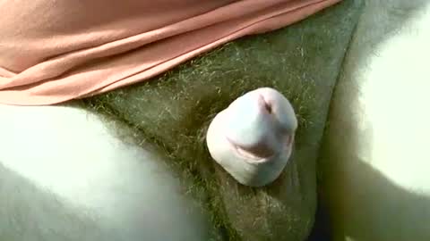 welshstuds online show from 30, 9, 2025