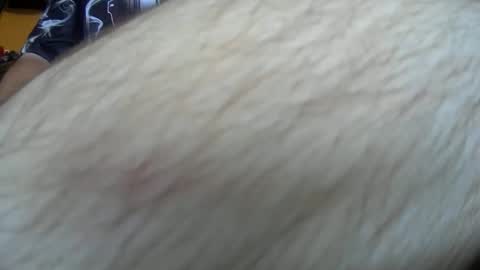 werewolf549 online show from 14, 10, 2025