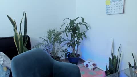 tatty online show from 28, 9, 2025