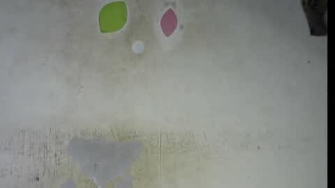 Snapshot of wet_pussy200 chatting on 6, 2, 2026 Bella online show from 6, 2, 2026