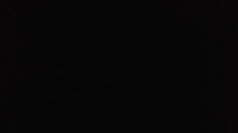 wet_pussy2025 online show from 13, 11, 2025