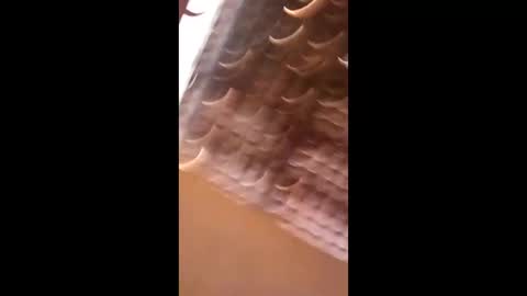 wgebnnrfodwt online show from 3, 4, 2026