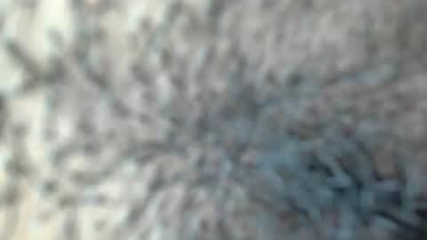 white_sexy_ online show from 18, 1, 2026