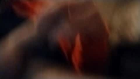 ur1freakman online show from 28, 11, 2025