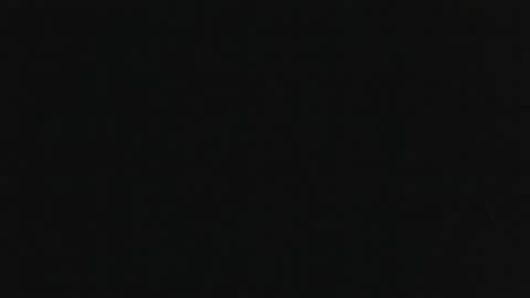 whitehead_lion online show from 6, 11, 2025