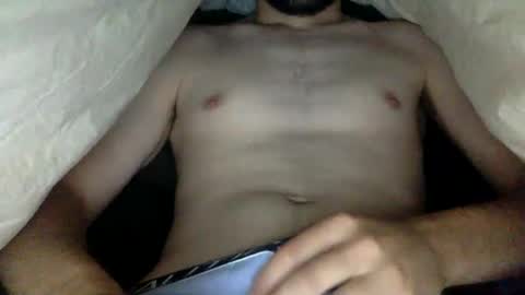 wholesomebull00 online show from 28, 10, 2025