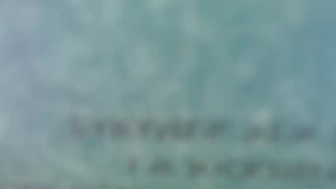 whynot6913 online show from 8, 11, 2025