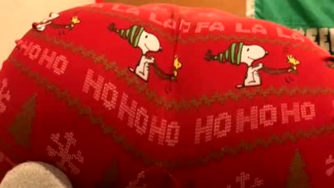 whyou12 online show from 21, 11, 2025