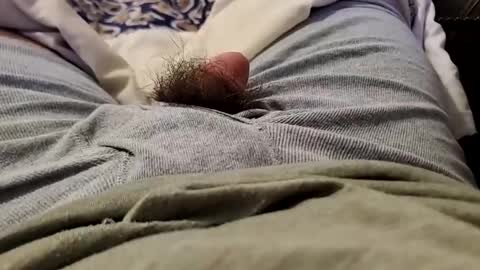 Snapshot of wildathaert chatting on 22, 12, 2024 Wild-at-heart online show from 22, 12, 2024