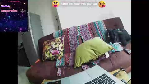 Wild Strawberry online show from 7, 1, 2025