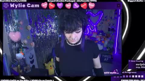 Snapshot of wildwylie chatting on 28, 2, 2025 Wylie Wanderlust online show from 28, 2, 2025