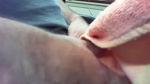 willampeters online show from 24, 9, 2025