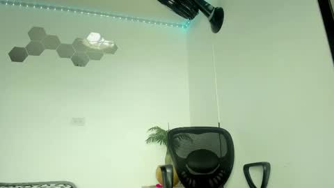 William Parra online show from 26, 2, 2025