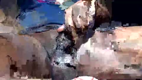 Snapshot of willianel chatting on 13, 12, 2025 willianel online show from 13, 12, 2025