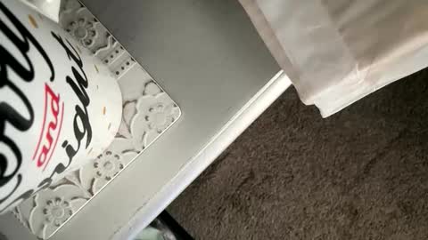 willwill1970 online show from 11, 2, 2026