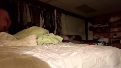 willy_dirk online show from 8, 11, 2025