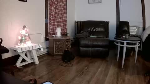 willydogg83 online show from 16, 12, 2025