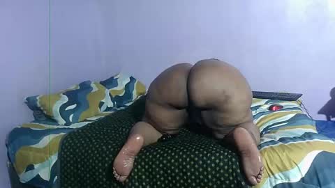 wilmaassylum online show from 14, 12, 2024