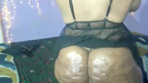 wilmaassylum online show from 12, 9, 2025