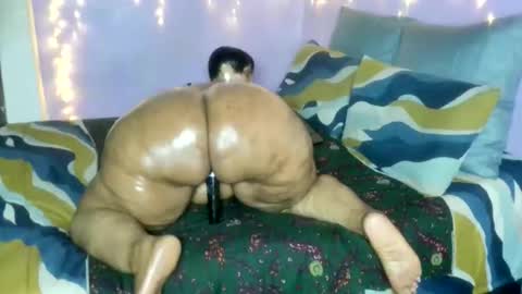 wilmaassylum online show from 17, 1, 2026