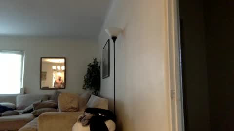 wilmnor online show from 12, 12, 2024