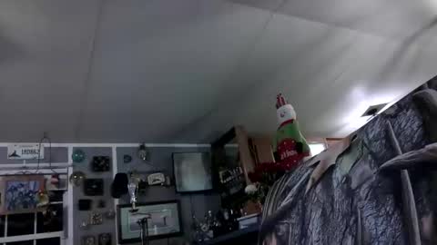 wldlife online show from 25, 11, 2025