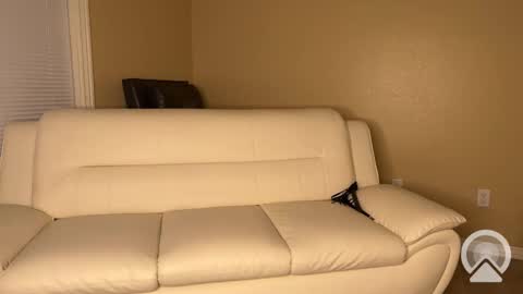 WoahJac3 online show from 27, 2, 2025