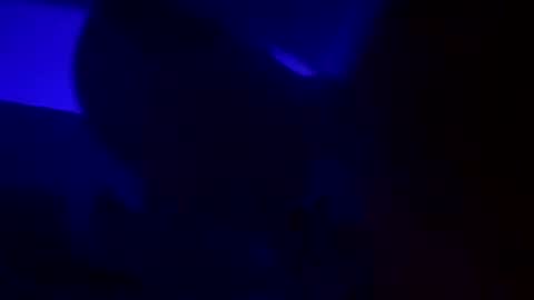 WolfX online show from 15, 12, 2024