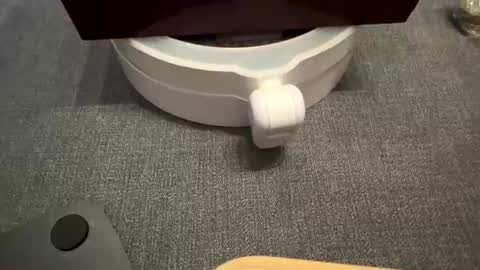 WolfX online show from 17, 9, 2025