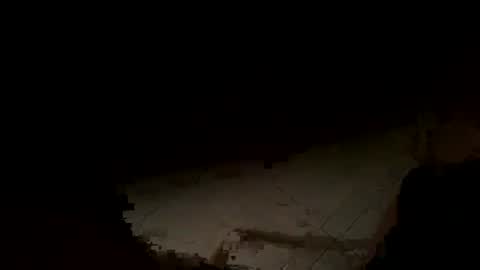 WolfX online show from 14, 11, 2025