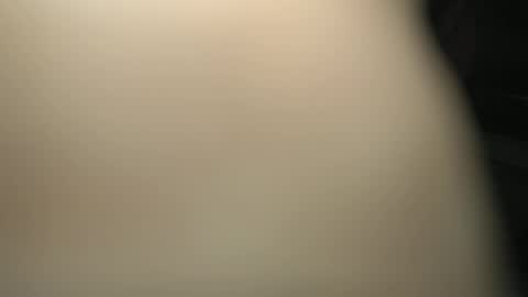 wolferection00 online show from 8, 2, 2026