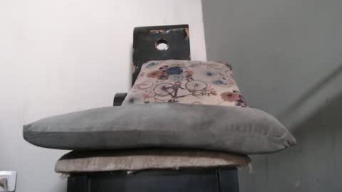 SHENIEL RODRIGUEZ online show from 15, 2, 2026