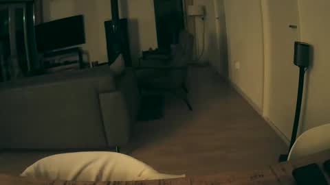 woodwurm and Snoeske online show from 15, 12, 2025