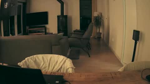 woodwurm and Snoeske online show from 11, 1, 2026