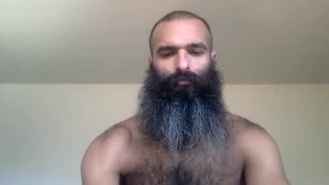 woof_wolf37 online show from 28, 2, 2026