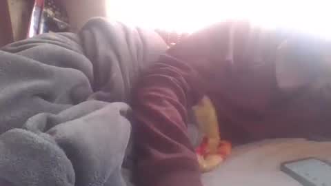 wormaho84 online show from 30, 12, 2024